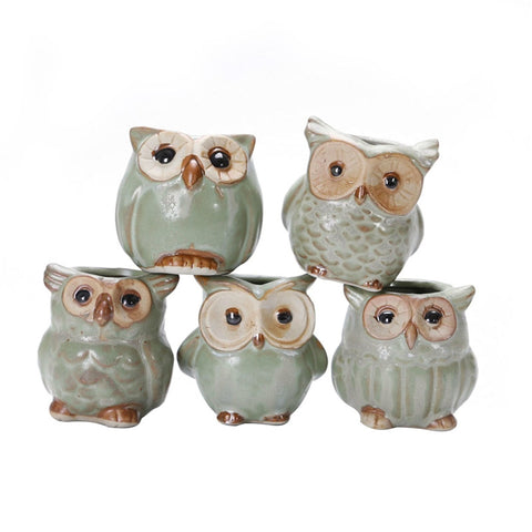 5pcs Ceramic Mini Small Owl Flowerpot Plant Pot Planter Succulent Cactus Pot Miniature Decoration